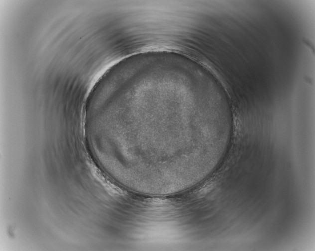 X0000103471124200810100928