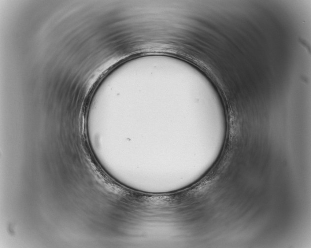 X0000103471125200810100928