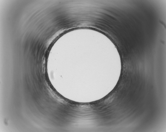X0000103471126200810100928