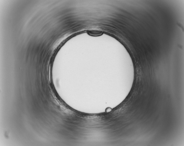 X0000103471127200810100928