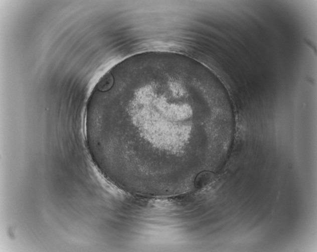 X0000103471128200810100928