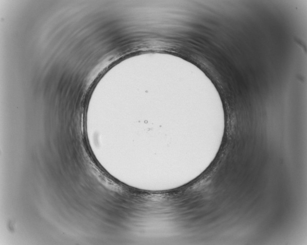 X0000103471130200810100928