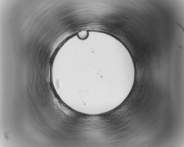X0000103471131200810100928