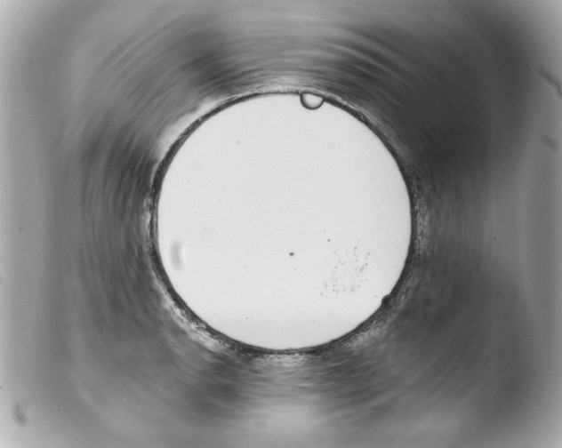 X0000103471134200810100928