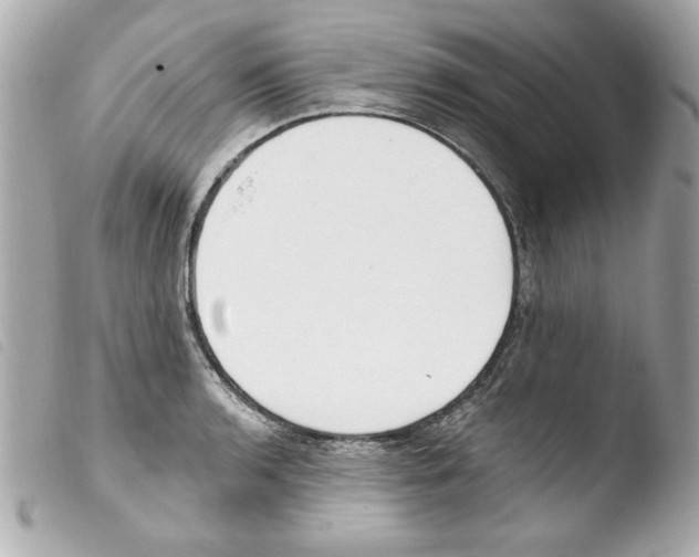 X0000103471136200810100928