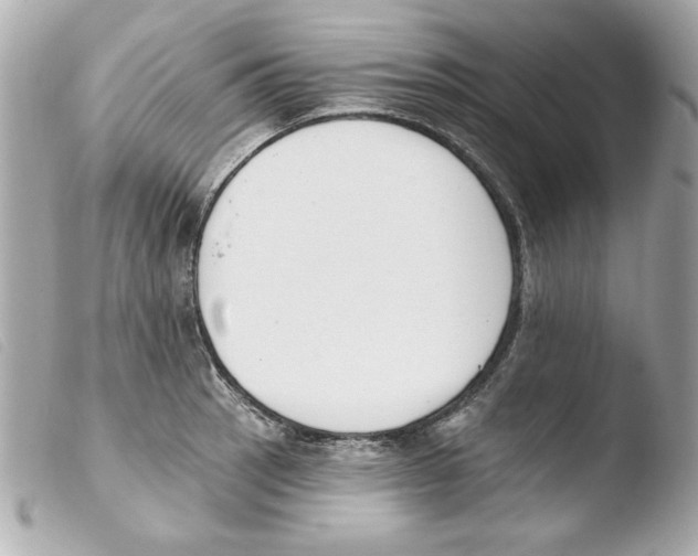 X0000103471137200810100929