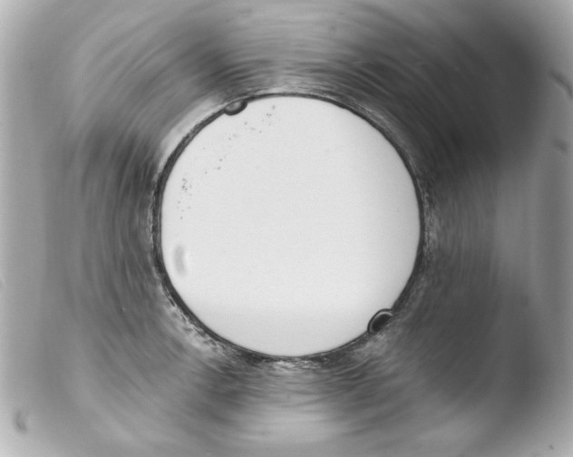 X0000103471138200810100929