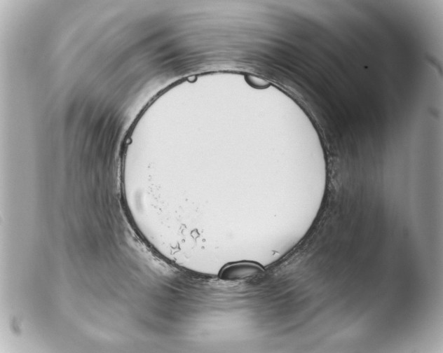 X0000103471140200810100929