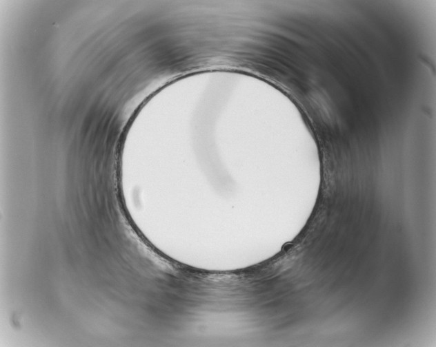 X0000103471142200810100929