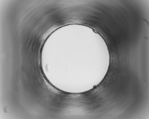 X0000103471143200810100929