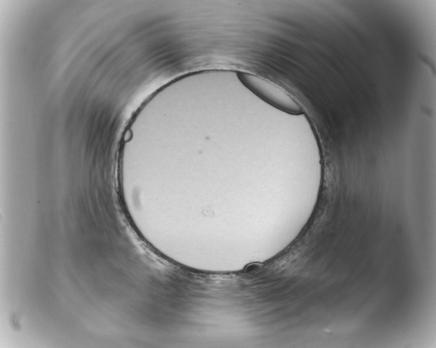 X0000103471144200810100929