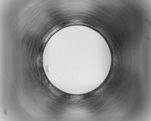 X0000103471145200810100929