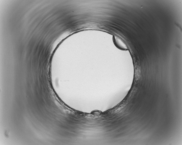 X0000103471146200810100929