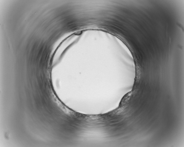 X0000103471148200810100929