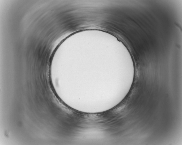 X0000103471149200810100929