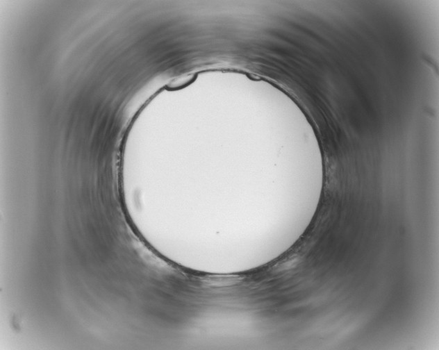 X0000103471151200810100929