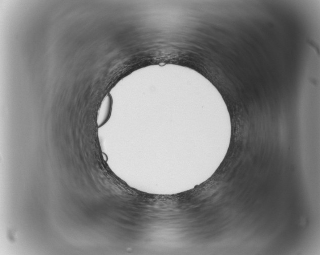 X0000103471153200810100928