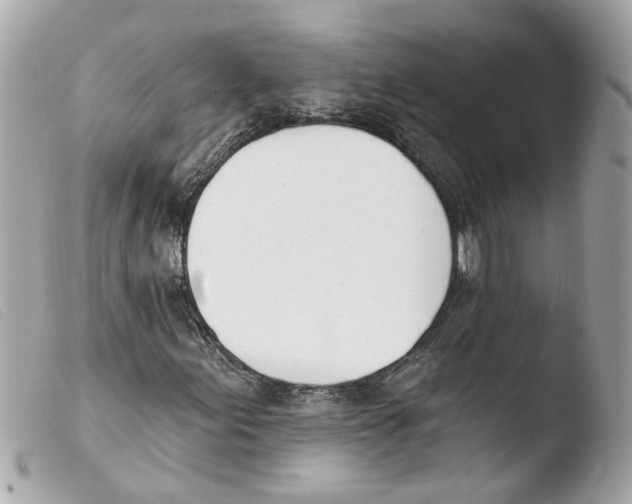 X0000103471155200810100928