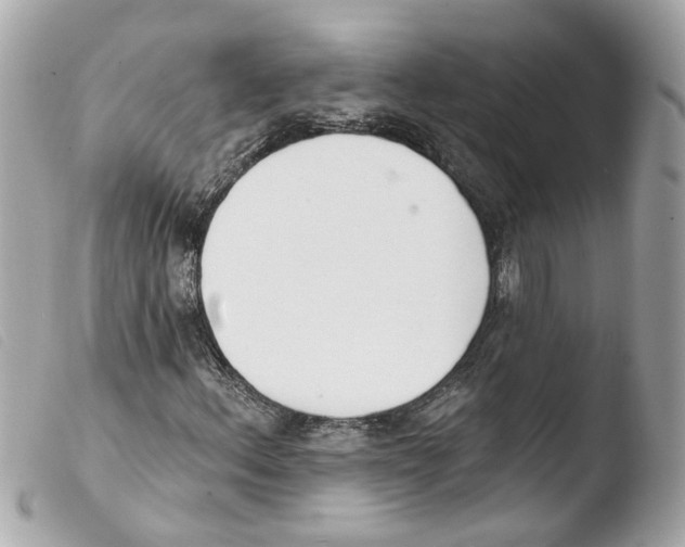 X0000103471156200810100928
