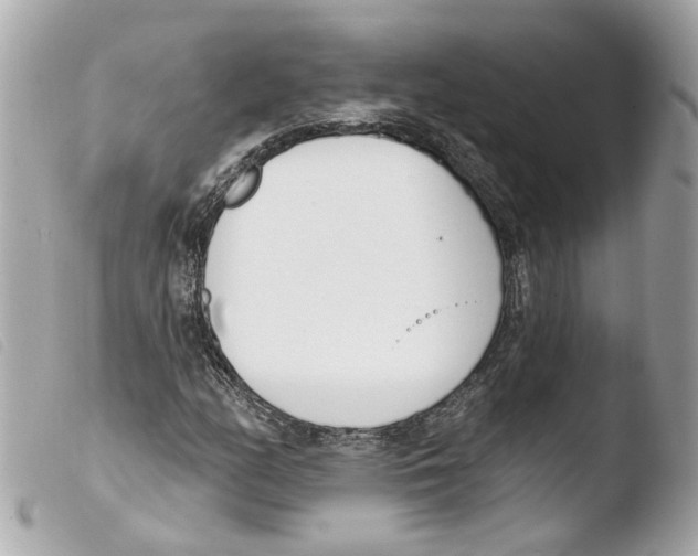 X0000103471158200810100928