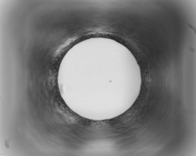 X0000103471159200810100928