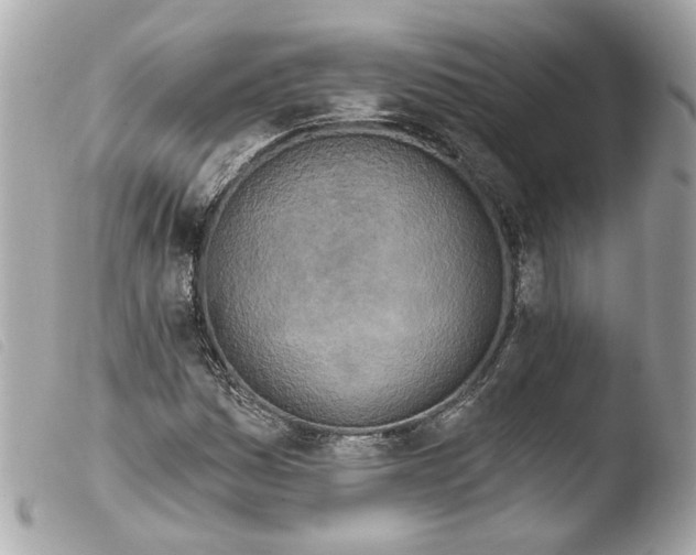 X0000103471161200810100928