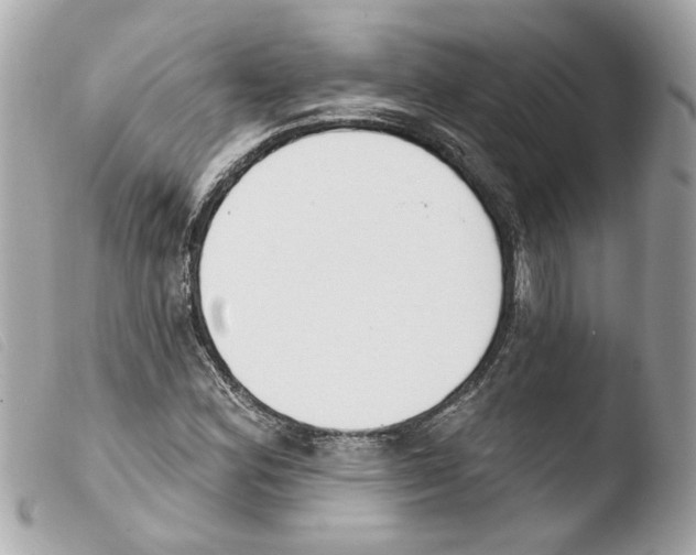 X0000103471164200810100928