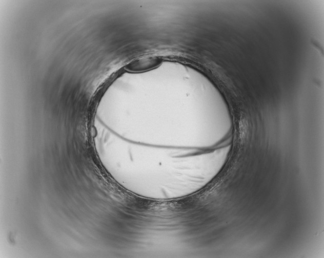 X0000103471165200810100928
