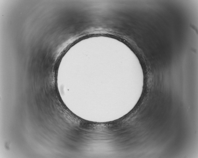 X0000103471167200810100928