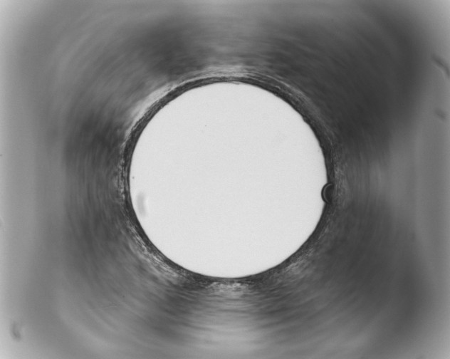 X0000103471168200810100928