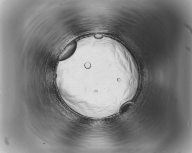 X0000103471169200810100928