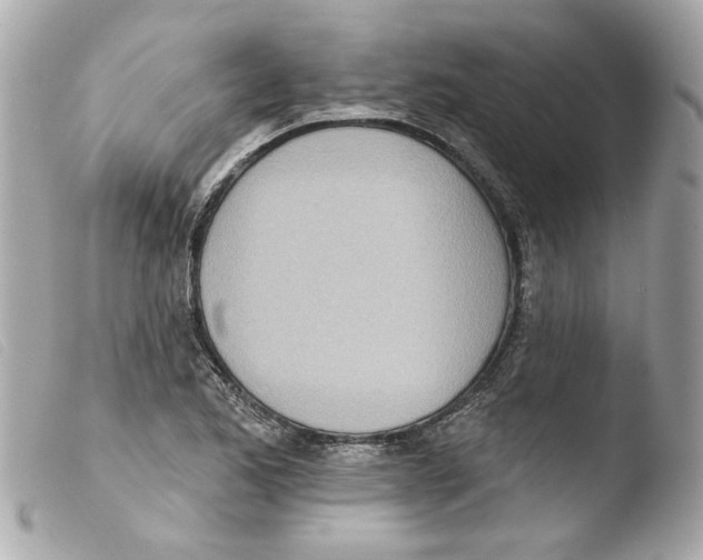 X0000103471173200810100928