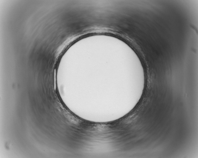 X0000103471175200810100928
