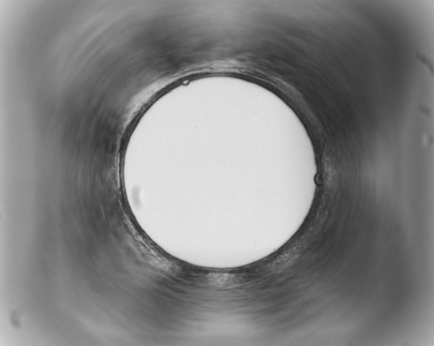 X0000103471176200810100928