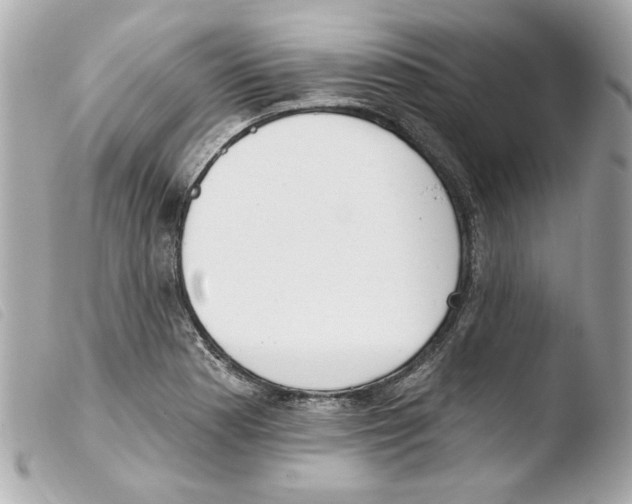 X0000103471177200810100928