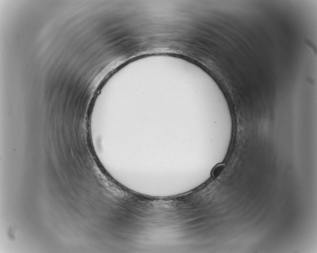 X0000103471181200810100928