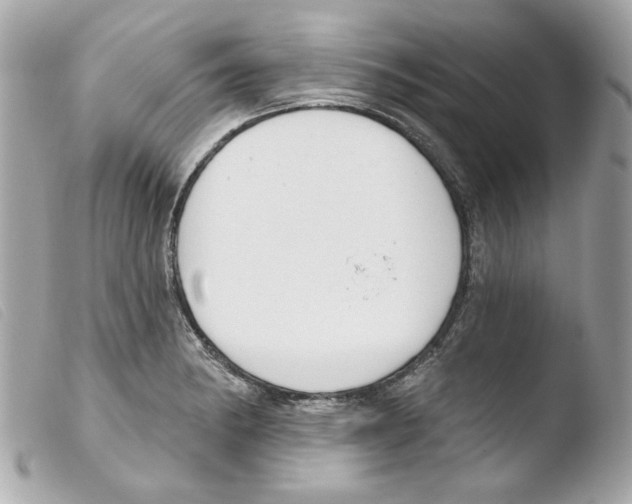 X0000103471182200810100928