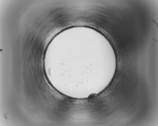X0000103471183200810100928