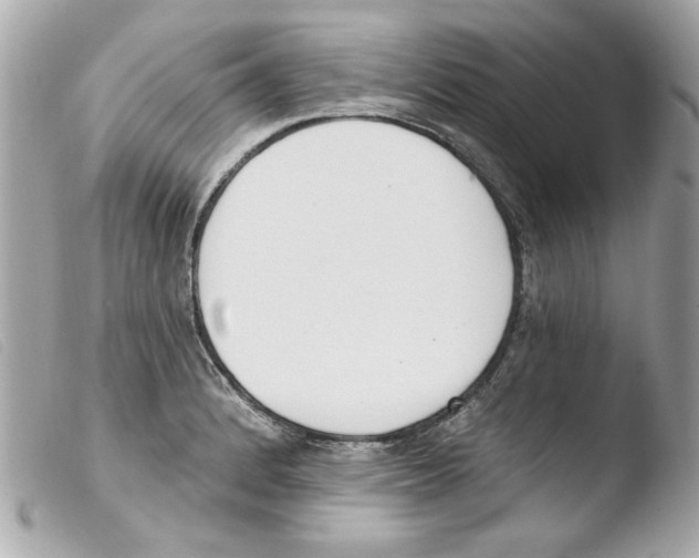 X0000103471184200810100928