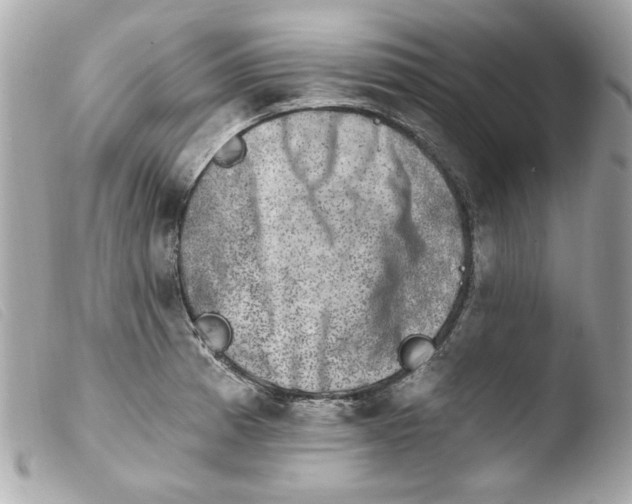 X0000103471185200810100928