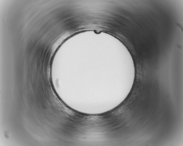 X0000103471188200810100928