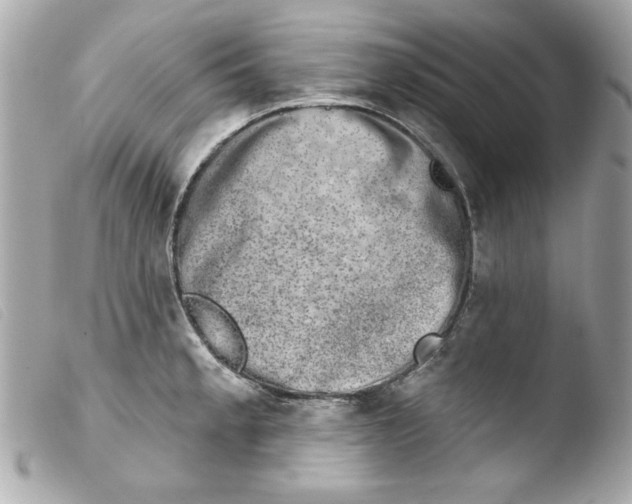 X0000103471189200810100928