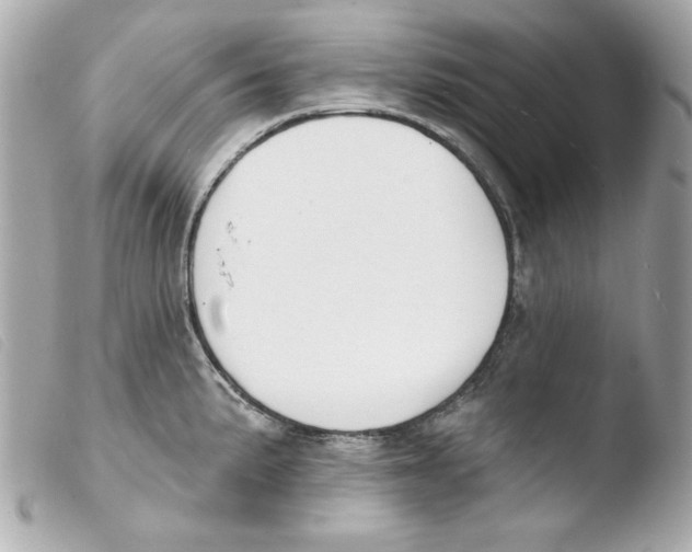 X0000103471191200810100928