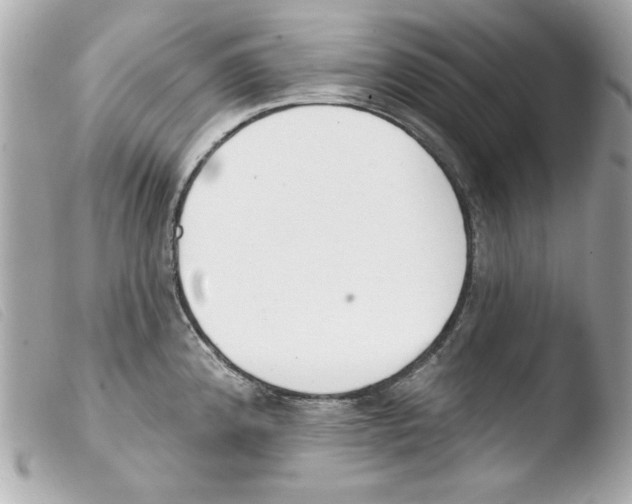X0000103471192200810100928