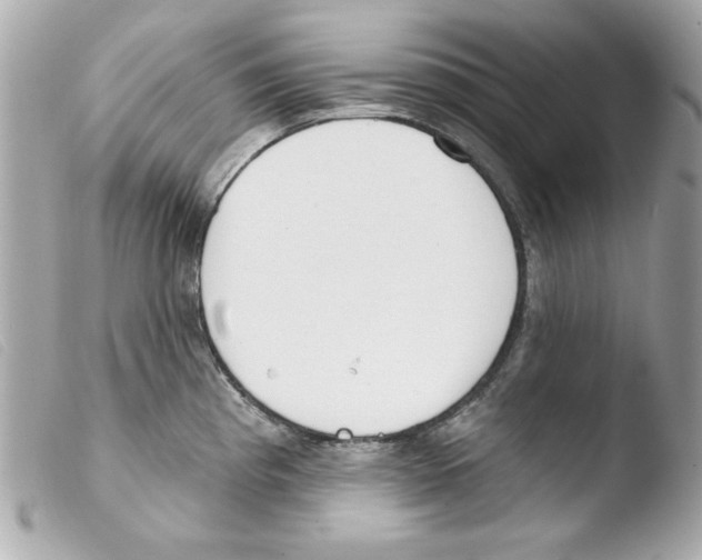 X0000103471193200810100928