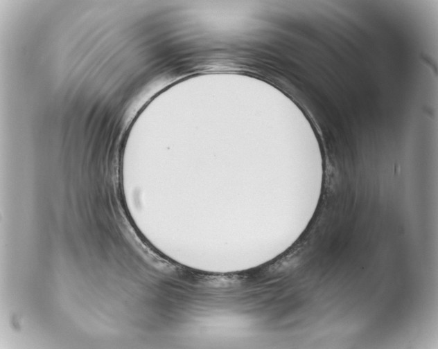 X0000103471195200810100927