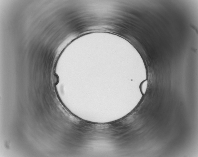 X0000103471196200810100927