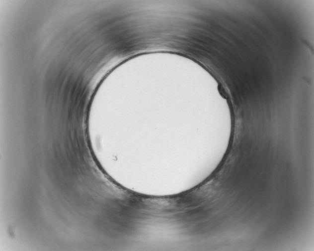 X0000103471197200810100927