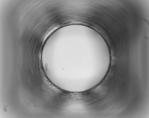 X0000103471198200810100927