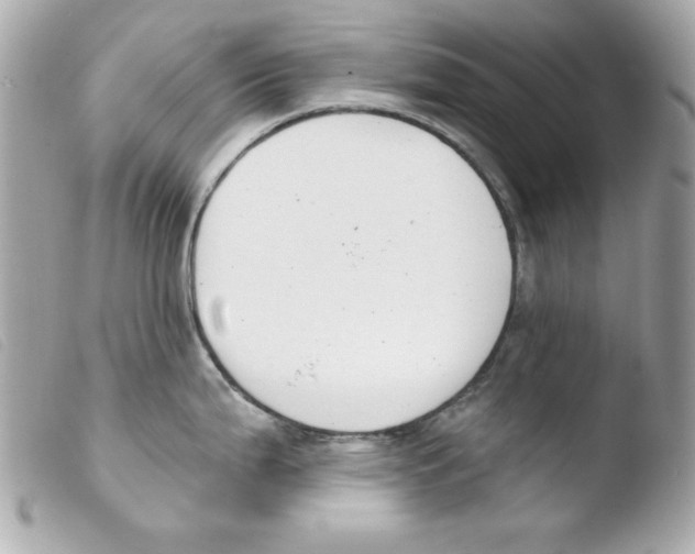 X0000103471199200810100927